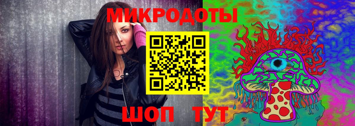 Псилоцибиновые грибы прущие грибы Сокол