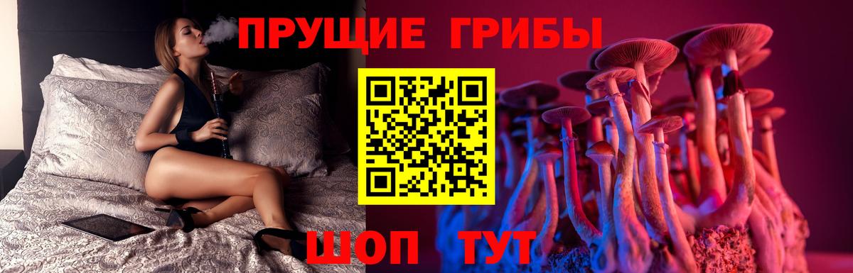 Сокол  Галлюциногенные грибы MAGIC MUSHROOMS  Вход с VPN 
